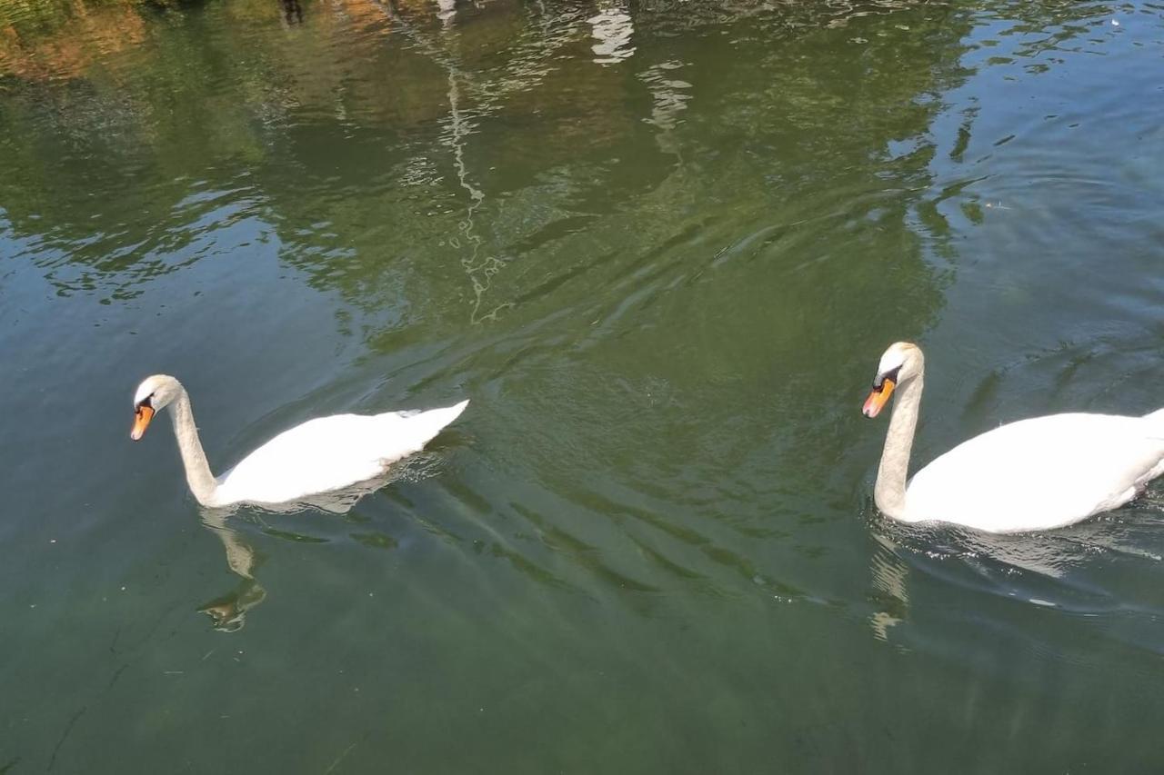Au Fils De L'Eau Otel Strazburg Dış mekan fotoğraf